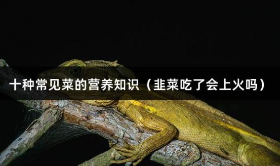 十种常见菜的营养知识（韭菜吃了会上火吗）