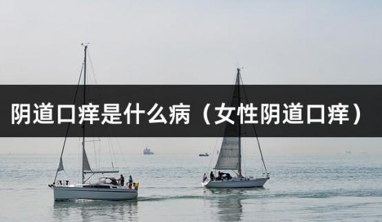 阴道口痒是什么病（女性阴道口痒）