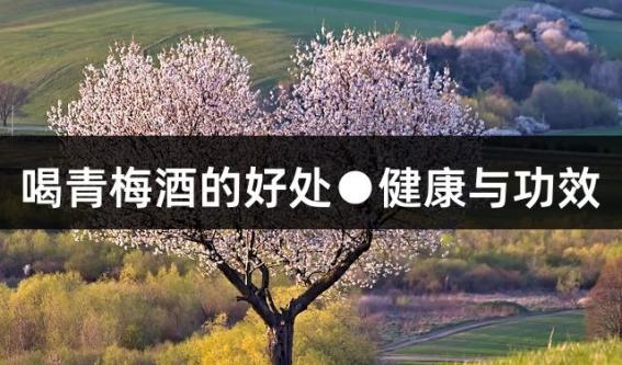 喝青梅酒的好处●健康与功效
