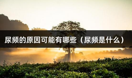尿频的原因可能有哪些（尿频是什么）