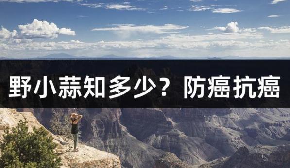 野小蒜知多少？防癌抗癌