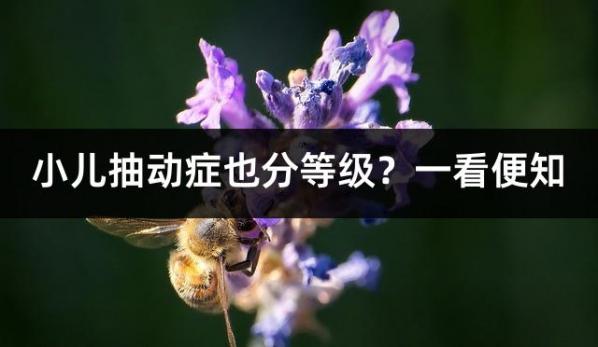 小儿抽动症也分等级？一看便知
