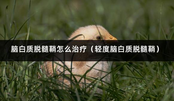 脑白质脱髓鞘怎么治疗（轻度脑白质脱髓鞘）