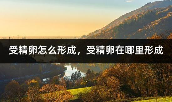 受精卵怎么形成，受精卵在哪里形成