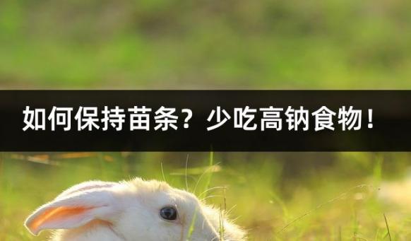 如何保持苗条？少吃高钠食物！