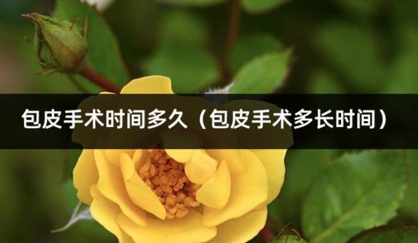 包皮手术时间多久（包皮手术多长时间）