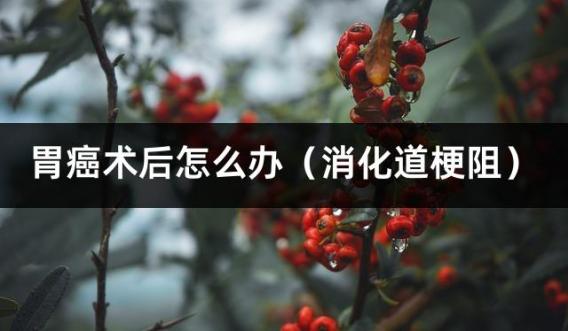 胃癌术后怎么办（消化道梗阻）