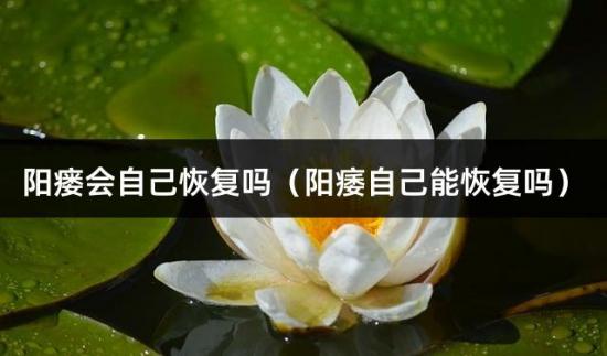 阳瘘会自己恢复吗（阳痿自己能恢复吗）