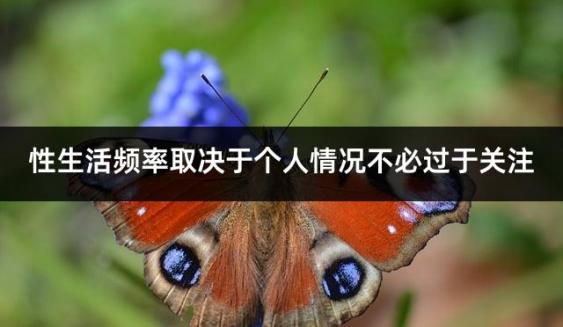 性生活频率取决于个人情况不必过于关注