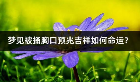 梦见被捅胸口预兆吉祥如何命运？