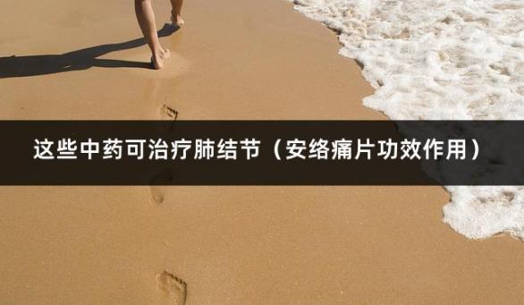 这些中药可治疗肺结节（安络痛片功效作用）