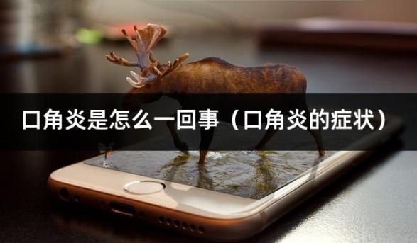 口角炎是怎么一回事（口角炎的症状）