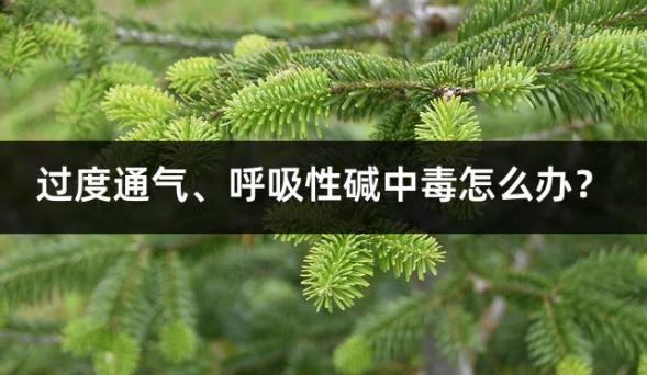 过度通气、呼吸性碱中毒怎么办？
