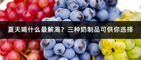 夏天喝什么最解渴？三种奶制品可供你选择