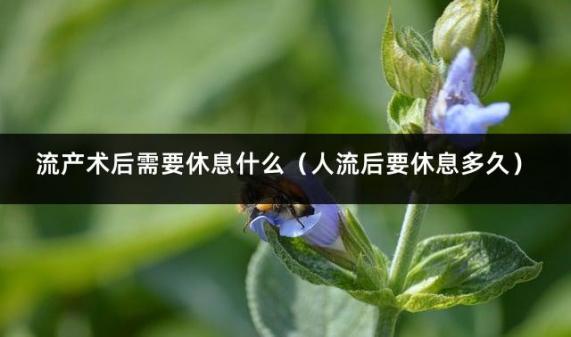 流产术后需要休息什么（人流后要休息多久）