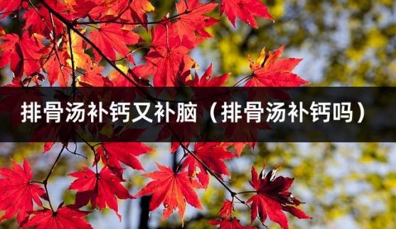 排骨汤补钙又补脑（排骨汤补钙吗）