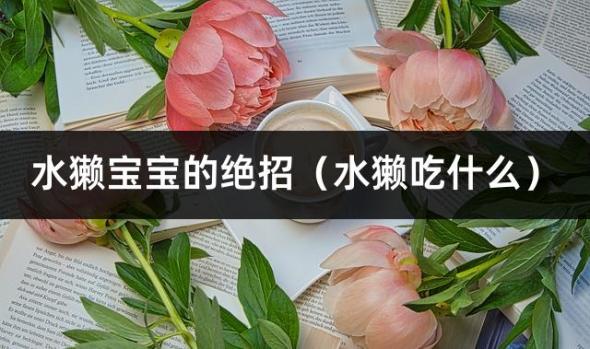 水獭宝宝的绝招（水獭吃什么）