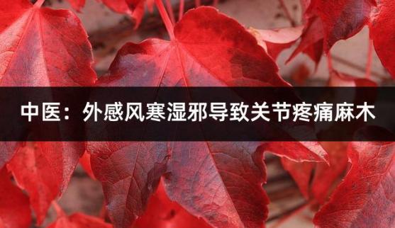 中医：外感风寒湿邪导致关节疼痛麻木