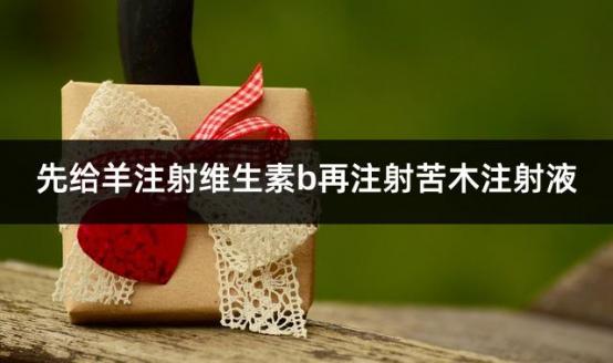 先给羊注射维生素b再注射苦木注射液