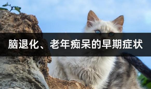 脑退化、老年痴呆的早期症状