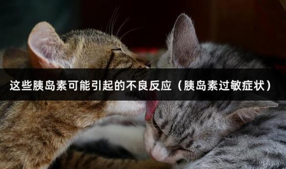 这些胰岛素可能引起的不良反应（胰岛素过敏症状）