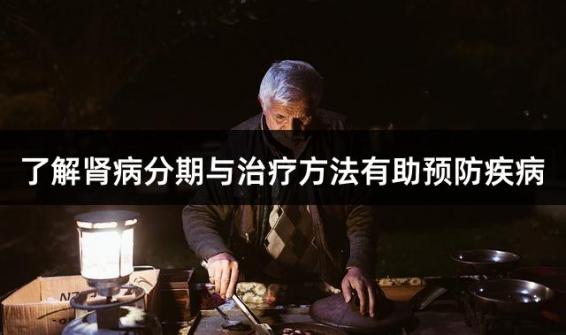 了解肾病分期与治疗方法有助预防疾病