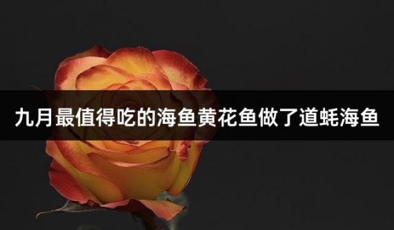 九月最值得吃的海鱼黄花鱼做了道蚝海鱼