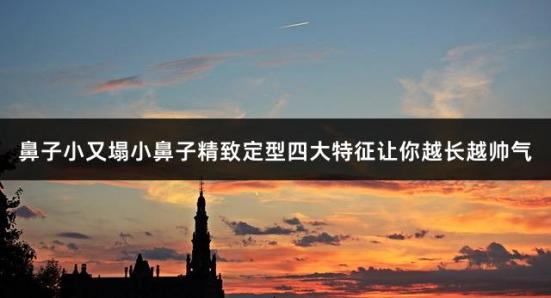 鼻子小又塌小鼻子精致定型四大特征让你越长越帅气