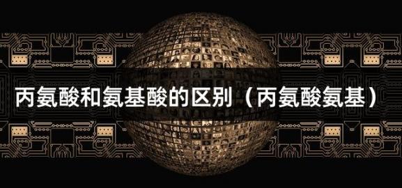 丙氨酸和氨基酸的区别（丙氨酸氨基）