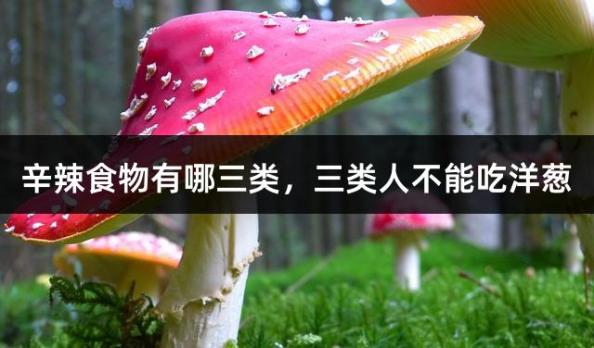 辛辣食物有哪三类，三类人不能吃洋葱