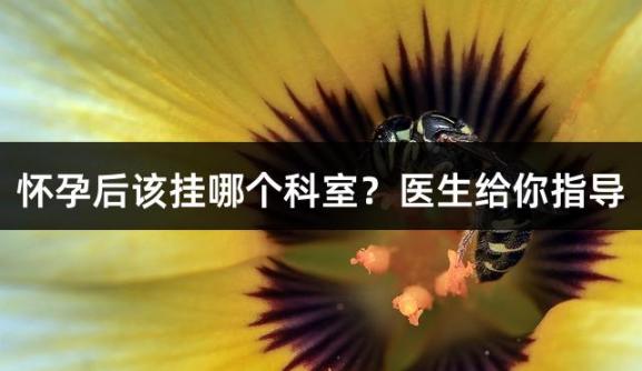怀孕后该挂哪个科室？医生给你指导