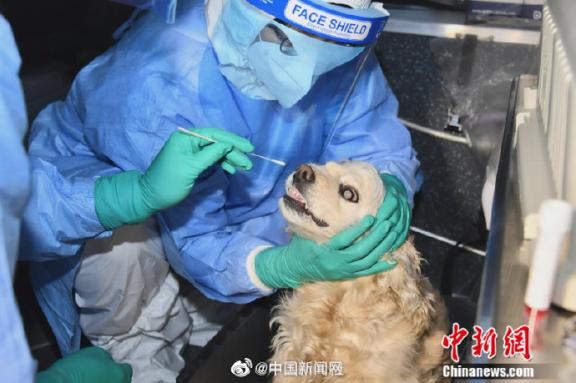 肛门是哪个位置，正确清洗肛门四件事你必须知道