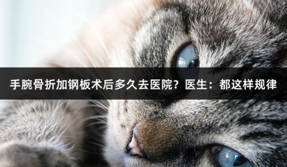 手腕骨折加钢板术后多久去医院？医生：都这样规律