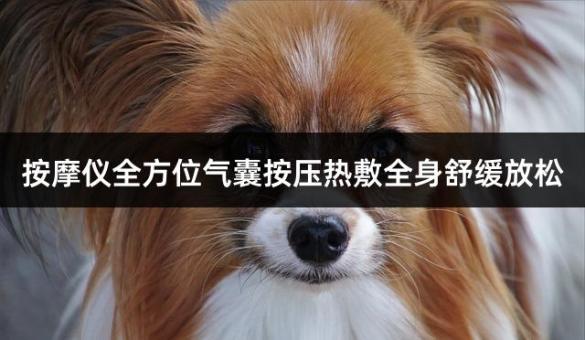 按摩仪全方位气囊按压热敷全身舒缓放松