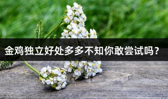 金鸡独立好处多多不知你敢尝试吗？