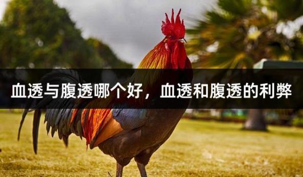 血透与腹透哪个好，血透和腹透的利弊
