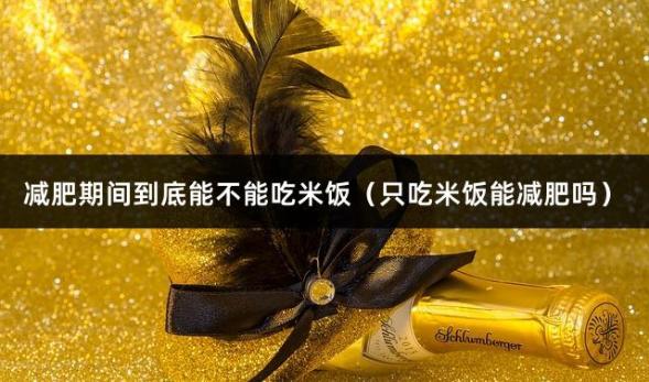 减肥期间到底能不能吃米饭（只吃米饭能减肥吗）