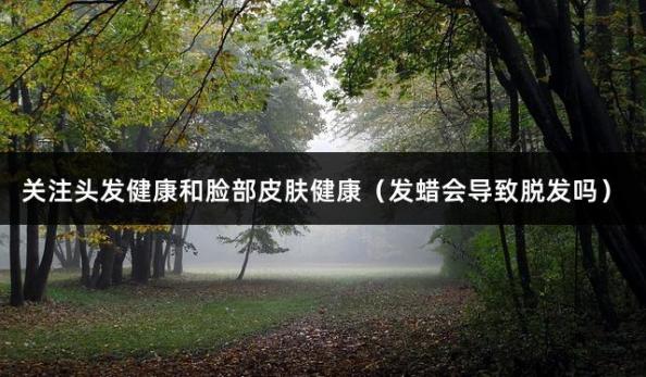关注头发健康和脸部皮肤健康（发蜡会导致脱发吗）