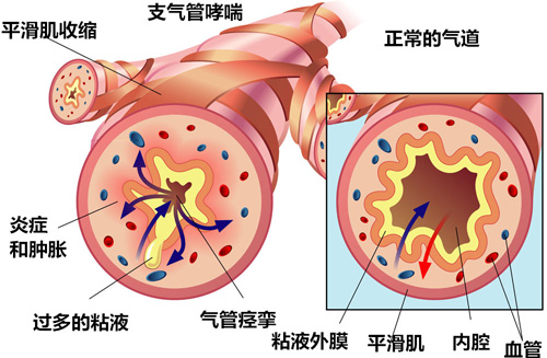 边喝酒边上厕所的人反而不适合喝酒