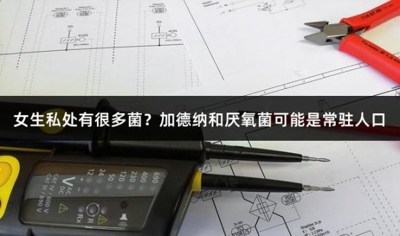 女生私处有很多菌？加德纳和厌氧菌可能是常驻人口