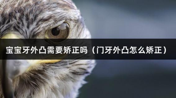 宝宝牙外凸需要矫正吗（门牙外凸怎么矫正）