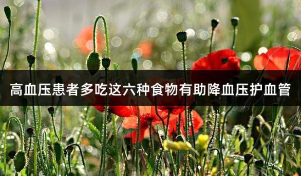 高血压患者多吃这六种食物有助降血压护血管