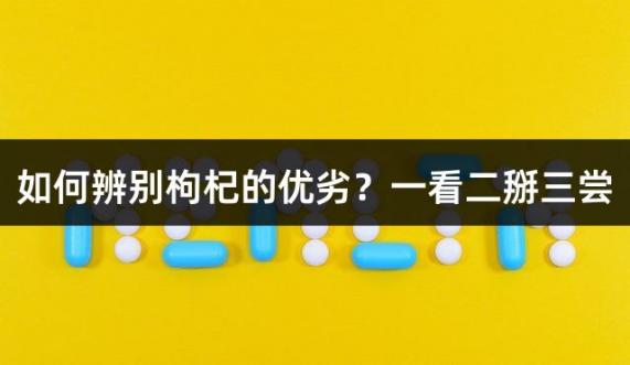 如何辨别枸杞的优劣？一看二掰三尝