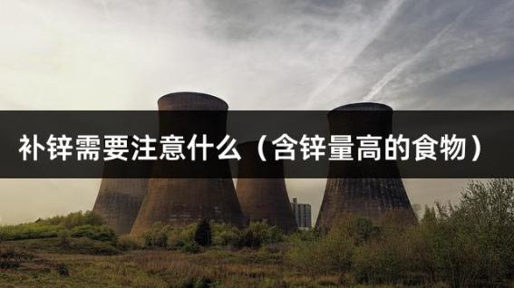 补锌需要注意什么（含锌量高的食物）
