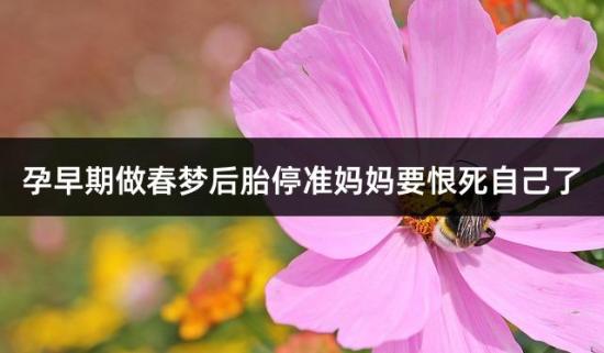 孕早期做春梦后胎停准妈妈要恨死自己了