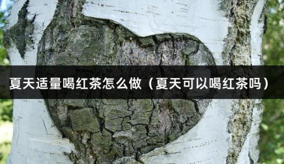 夏天适量喝红茶怎么做（夏天可以喝红茶吗）