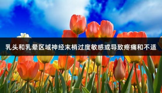 乳头和乳晕区域神经末梢过度敏感或导致疼痛和不适