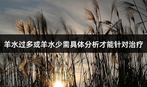 羊水过多或羊水少需具体分析才能针对治疗