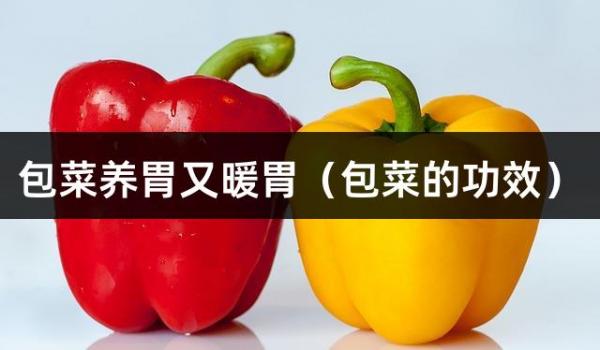 包菜养胃又暖胃（包菜的功效）