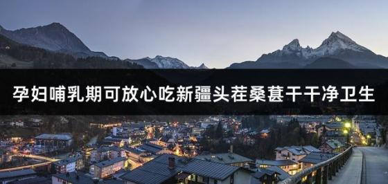 孕妇哺乳期可放心吃新疆头茬桑葚干干净卫生